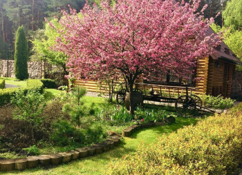 Продаж готельного комплексу "Машівський бір" на Волині